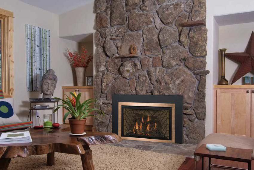Kozy Heat: Roosevelt 29 Gas Insert