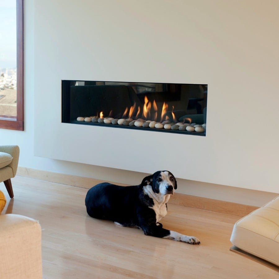 Ortal: Front Facing FR 51 Gas Fireplace—primary view