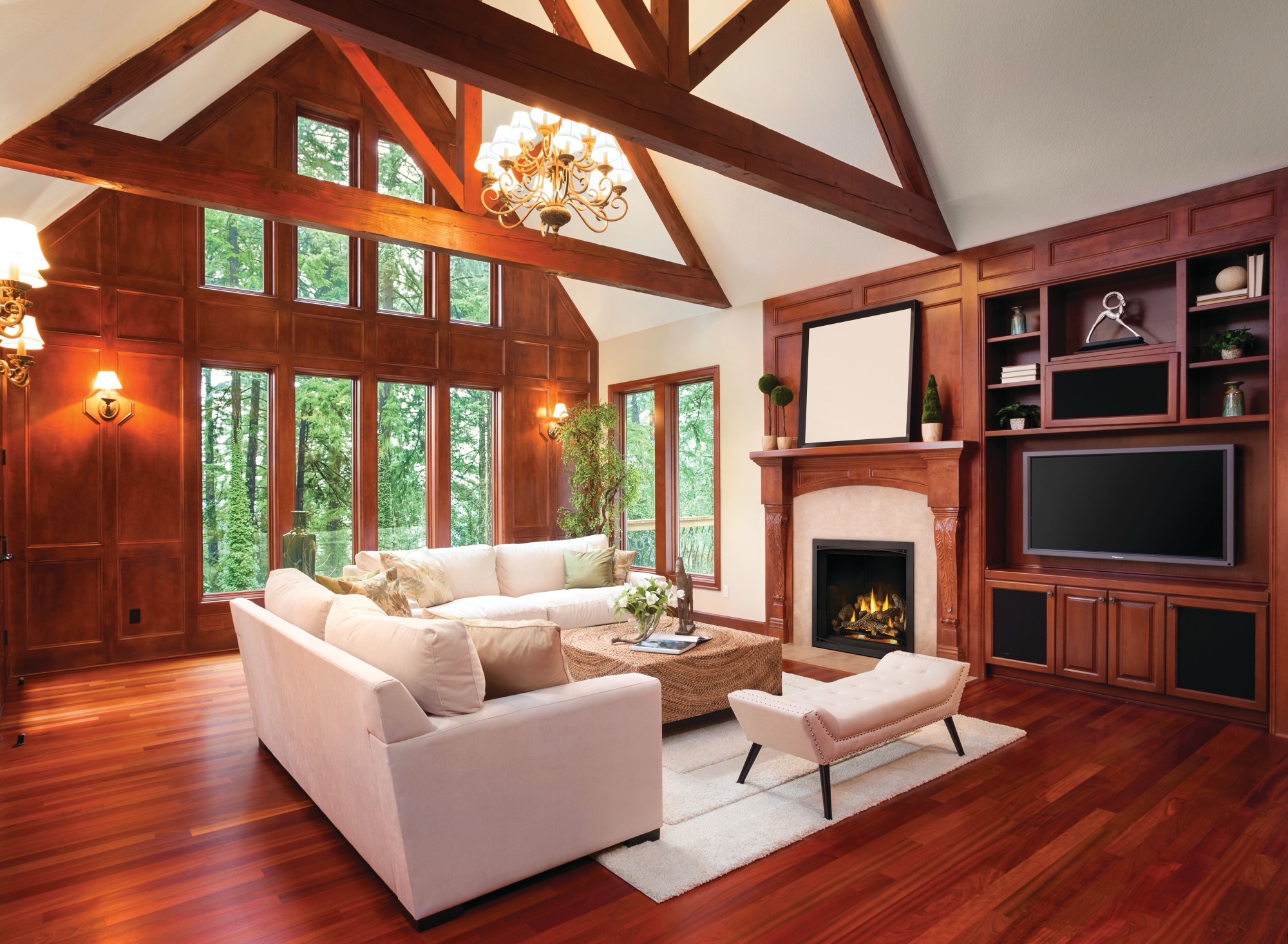 The Napoleon: Elevation X EX36, available from SnowBelt Fireplace & Stove in Stevens Point, WI