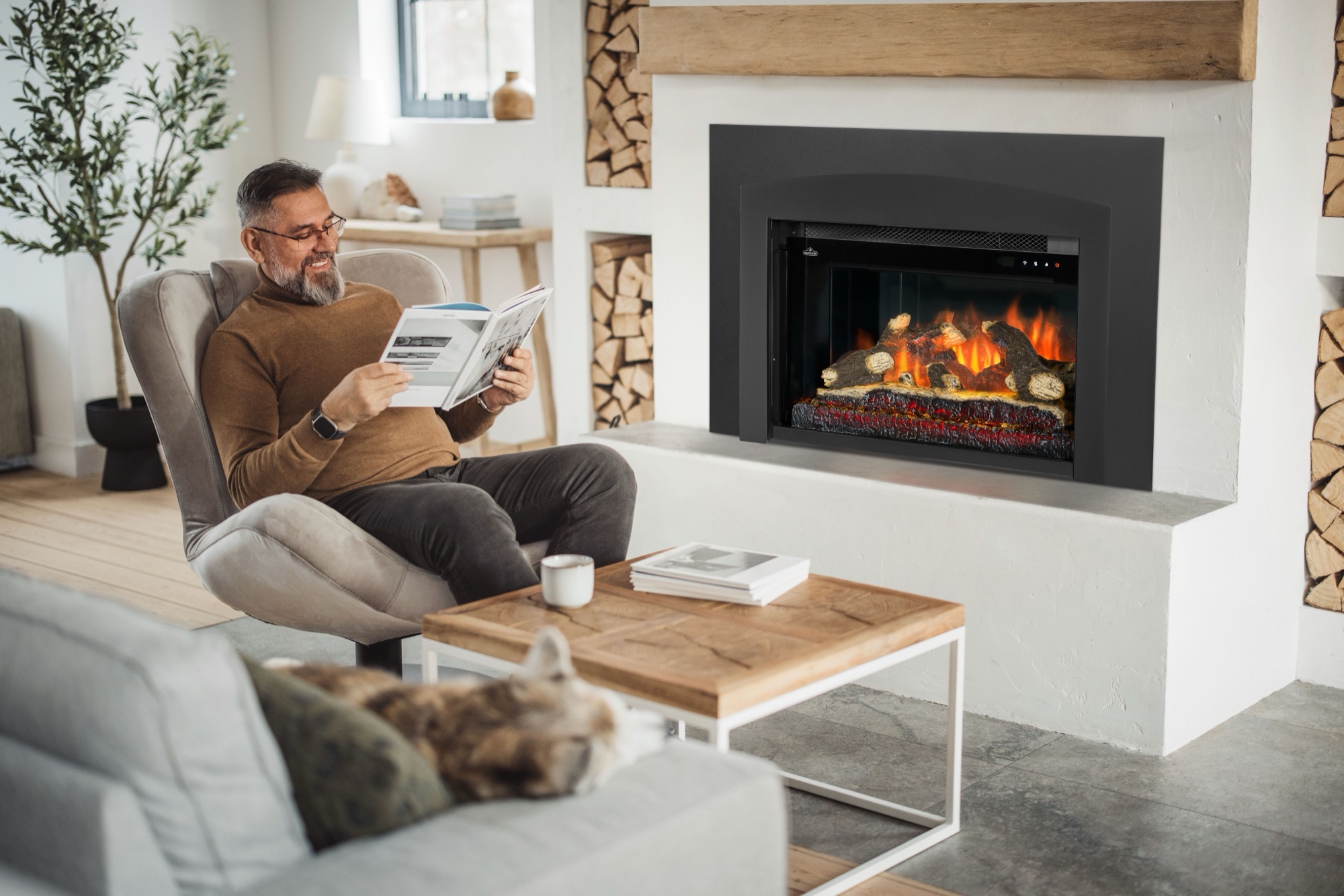 The Napoleon: Rosedale Electric Built-in NEFB29H, available from SnowBelt Fireplace & Stove in Stevens Point, WI