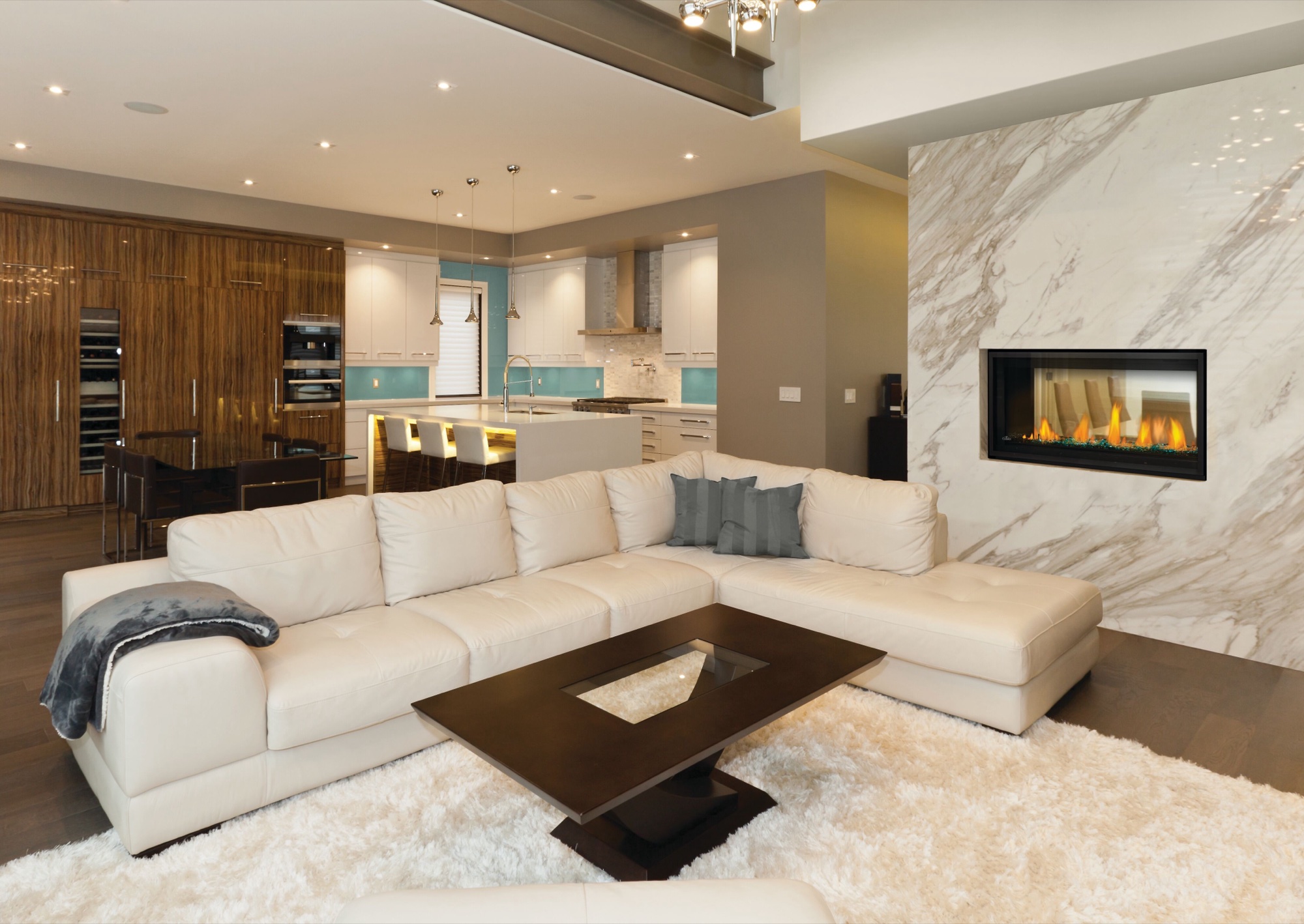 The Napoleon: Vector See-Through LV38, available from SnowBelt Fireplace & Stove in Stevens Point, WI