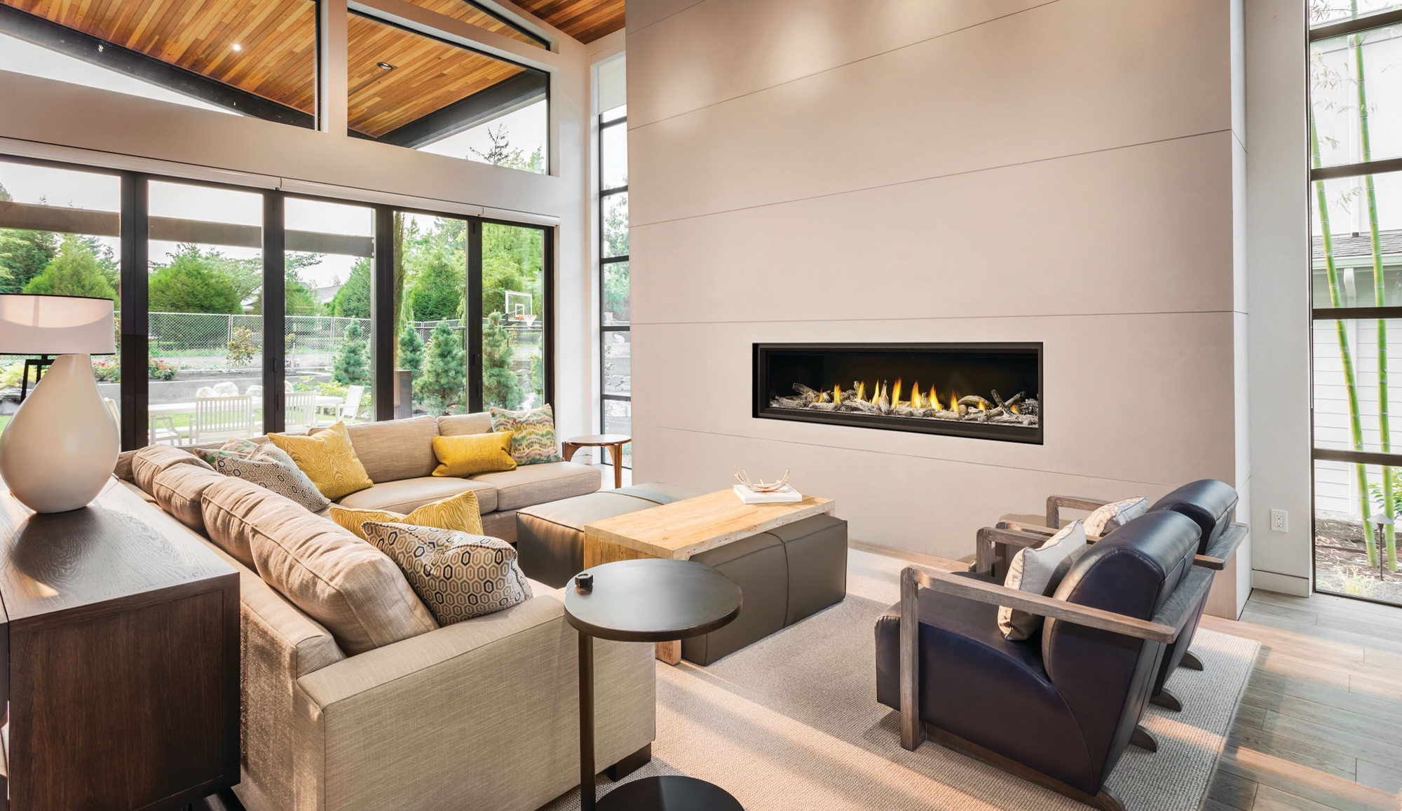 The Napoleon: Vector LV74, available from SnowBelt Fireplace & Stove in Stevens Point, WI
